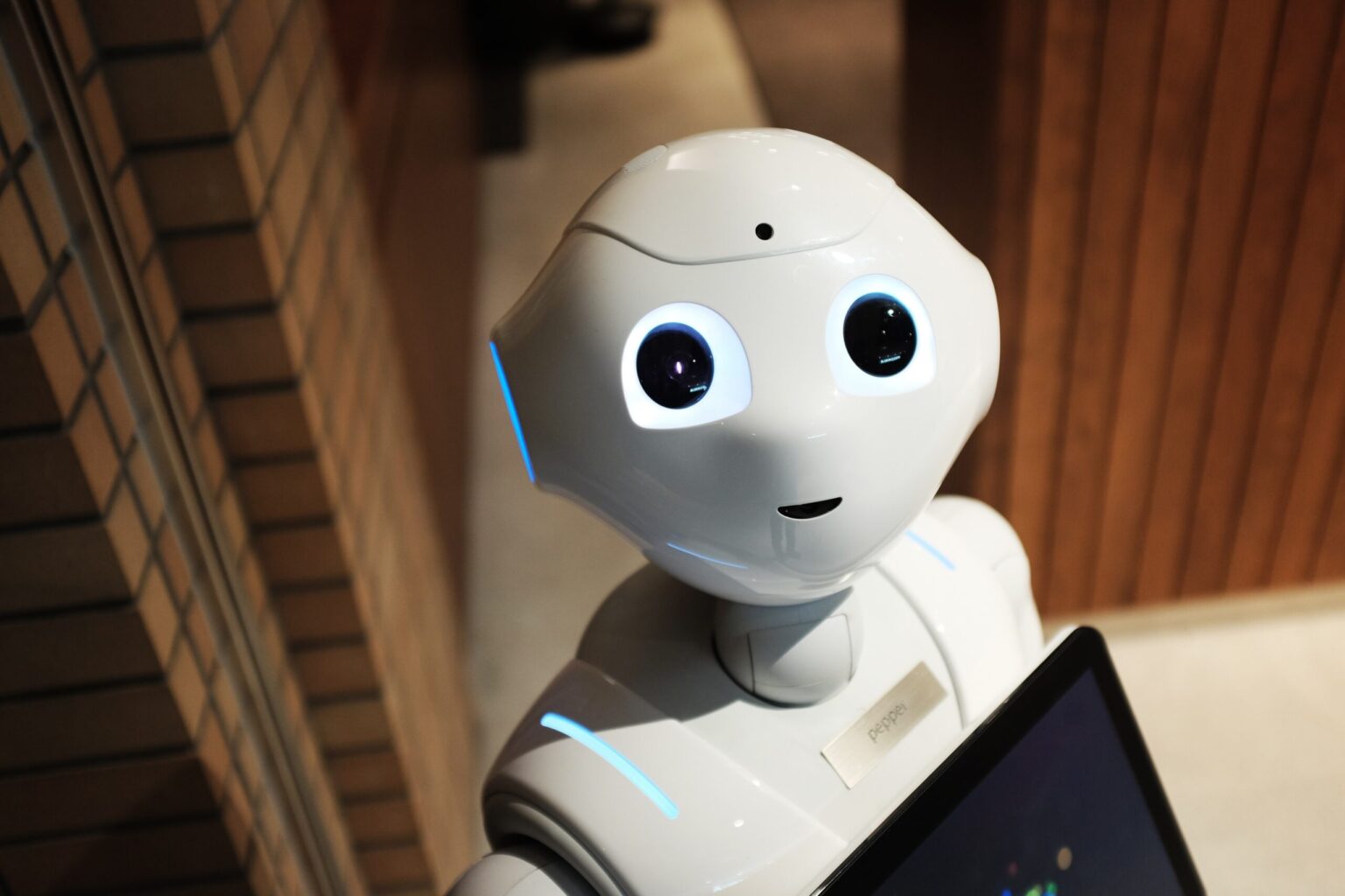 The Hidden Conundrum Behind The Best Robotics.
