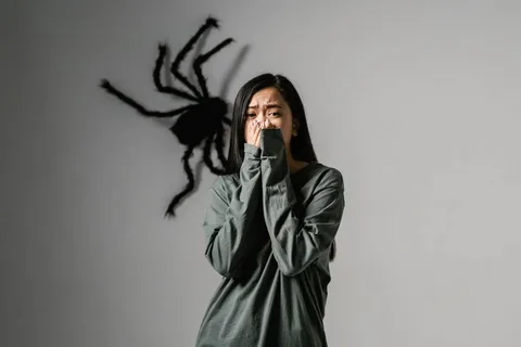 The 80 Biggest Weirdest Phobias Mistakes You Can Easily Avoid Weirdest Phobias