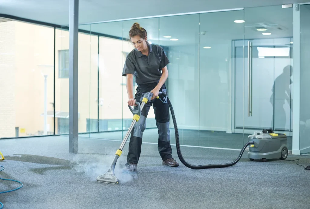Unveiling Cultural Differences in Cleaning Practices Around the World