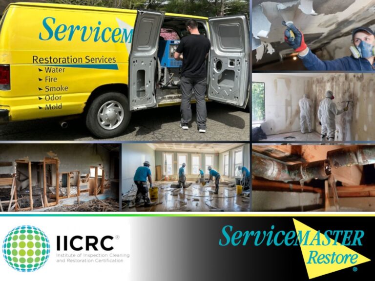 Where Can You Find Professional Water Damage Restoration Services?